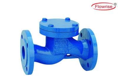 globe valves manufacturer from india